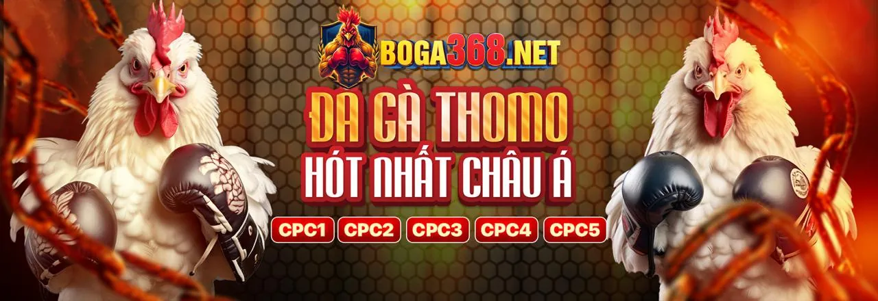 Hình ảnh chính: Link mới debet2 2026 với các ưu đãi cá cược hấp dẫn
